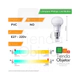Pack X10 Ecohome Bulbo 12W Frio