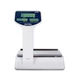 Balanza Comercial Digital Systel Croma Batería 31kg Mástil