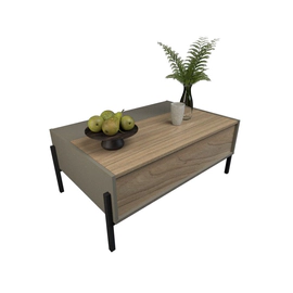 Mesa Ratona De Centro Living Con Puerta Melamina GRIS OLMO