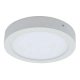 Panel Plafon Aplicar Redondo Led Frio 18W Philips