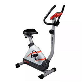 BICICLETA FIJA RANDERS ARG-0390 - VERTICAL MAGNETICA