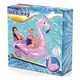 Inflable Flamenco Rosa Claro 127X127Cm 41122