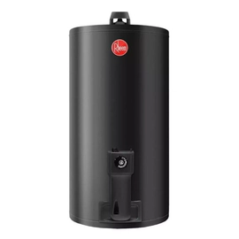 Termotanque a Gas Natural Rheem TGNC080RH 80lts de Colgar