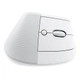 Mouse Vertical Inalambrico Logitech Ergo Lift Bluetooth Usb Blanco Crudo