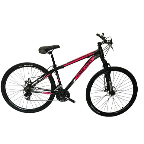 Fire Bird Precio De Bici Rodado 29 BICICLETA FIRE BIRD BIN29-21ECO
