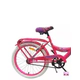 BICICLETA FIREBIRD RODADO 20 NENA CON CANASTO Y TIMBRE COLOR FUCSIA