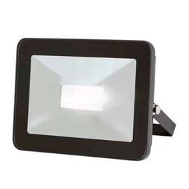 Proyector Led Pegasus 10W Frio 220V Aluminio