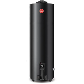 Termotanque A Gas Natural Rheem TGNP150RH De Pie 150L Negro