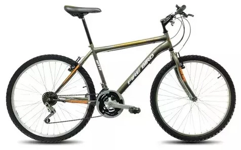 BICICLETA FIRE BIRD MTB 18 VELOCIDADES RODADO 24 COLOR GRIS