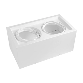Plafon Cardanico Ar111 Rectangular 2 Luces 335X185X150 Blanco