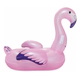 Inflable Flamenco Rosa Claro 127X127Cm 41122