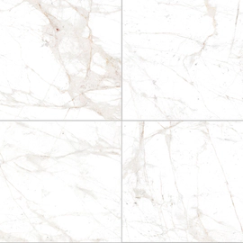 Porcelanato Cerro negro 58x58 spider crystal pulido rectificado 1º