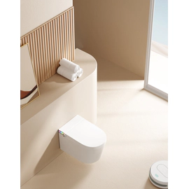 Inodoro inteligente Triton Aerial