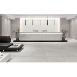 Porcelanato tendenza 60x120 silvermoon mate rect cal 1º