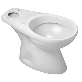 Inodoro Roca apoyo italiana blanco