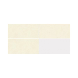 Porcelanato Alberdi 30x60 century calcio rect 1°