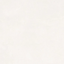 Porcelanato Tendenza 60x60 cast 2º