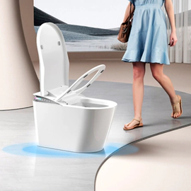 Inodoro inteligente Triton Royal