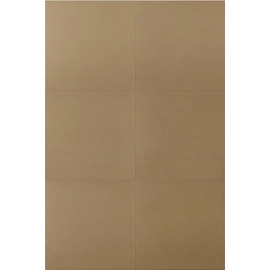 Porcelanato Ilva 60x60 Tec. Ecoland Earth pulido cal 1º