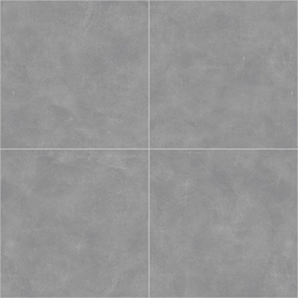 Porcelanato Alberdi 60x60 century platino rectificado 1°