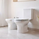 Inodoro largo Ferrum Limay blanco LMY-IN-002-BL