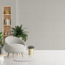 Porcelanato Alberdi 30x60 linum tiza nat rect 1°