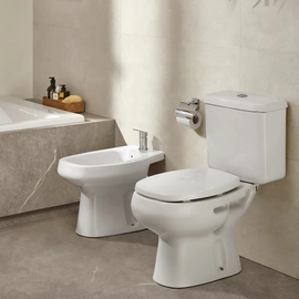 Inodoro largo Roca monaco de apoyo 3/6L blanco