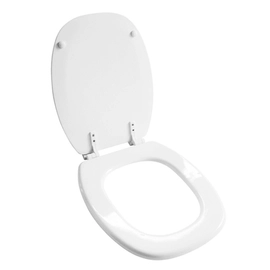 Asiento Inodoro Daccord Tipo Mon. Bco. Herraje Nylon ASIOI MP 09 01