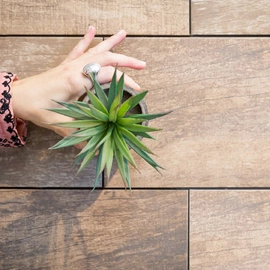 Porcelanato Alberdi 20x60 Medley beige rectif cal 1º