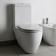 Inodoro largo Ferrum fontana 4.5lts FON-IN-250-BL