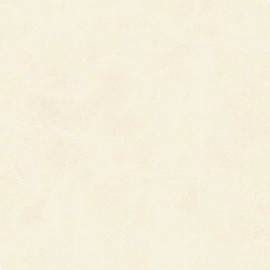 Porcelanato Alberdi 60x60 Century Calcio rect cal 2º