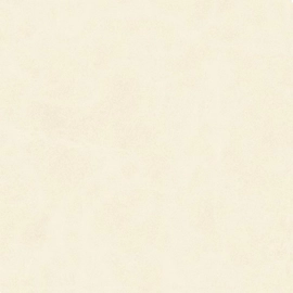 Porcelanato Alberdi 60x60 century calcio rectificado 1°