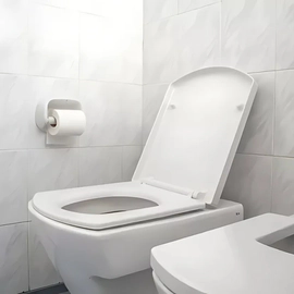 Tapa asiento inodoro Roca the gap caida simple