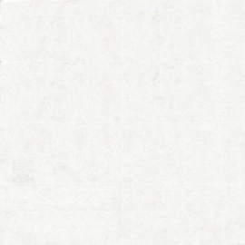 Porcelanato Vite 60x60 Liscio White nat cal 1º