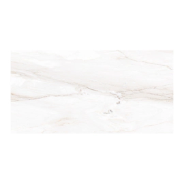 Porcelanato Tendenza 57.5x117 Elegance Mate Rect 1°