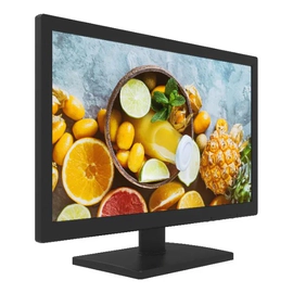 DS-D5019QE-B Monitor 18,5" LED 1366x768 HDMI + VGA