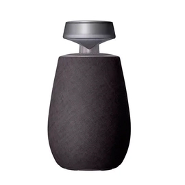 Parlante LG Xboom 20W Ip55 Bluetooth
