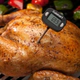 TERMOMETRO DIGITAL INSTANTANEO CUISINART CSG-111