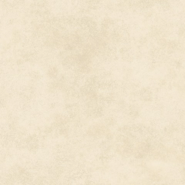 Porcelanato Alberdi 60x60 domo natural rectificado 1°