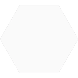 Misiones 17x19.5 ceramica hexagonal 17 bianco bc1507 x mt2 (1m)