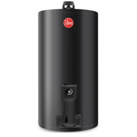 Termotanque de colgar Rheem 80 lts GN TGNCO80RH