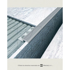 Nariz Omega Moldumet para escalera Alum A121