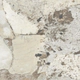 Porcelanato Vite 120x120 austral ivory natural 1º