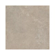 Porcelanto Alberdi 60X60 tartaria beige nat rect 1°