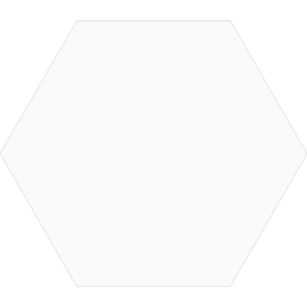 Misiones 17x19.5 ceramica hexagonal 17 bianco bc1507 x mt2 (1m)