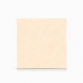 Porcelanato Alberdi 60x60 Century Calcio rectificado