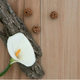 Porcelanato Ilva 22.5x90 wood home almond 1º