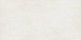 Cerro Negro 29X59 KANSAS BONE 1*