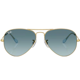 Anteojo de Sol Ray Ban RB3025 001/3M 55