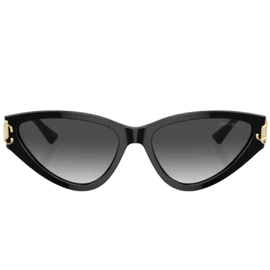 Anteojo de Sol Jimmy Choo JC5019 50008G 55